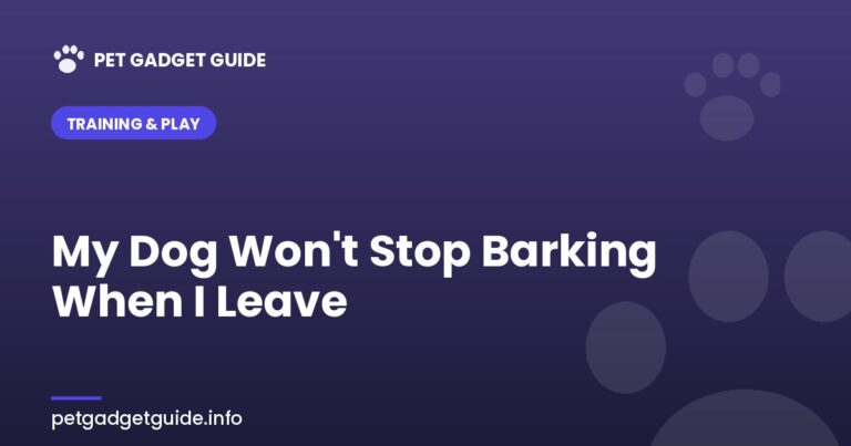 Dog Won’t Stop Barking When I Leave: Causes and Fixes