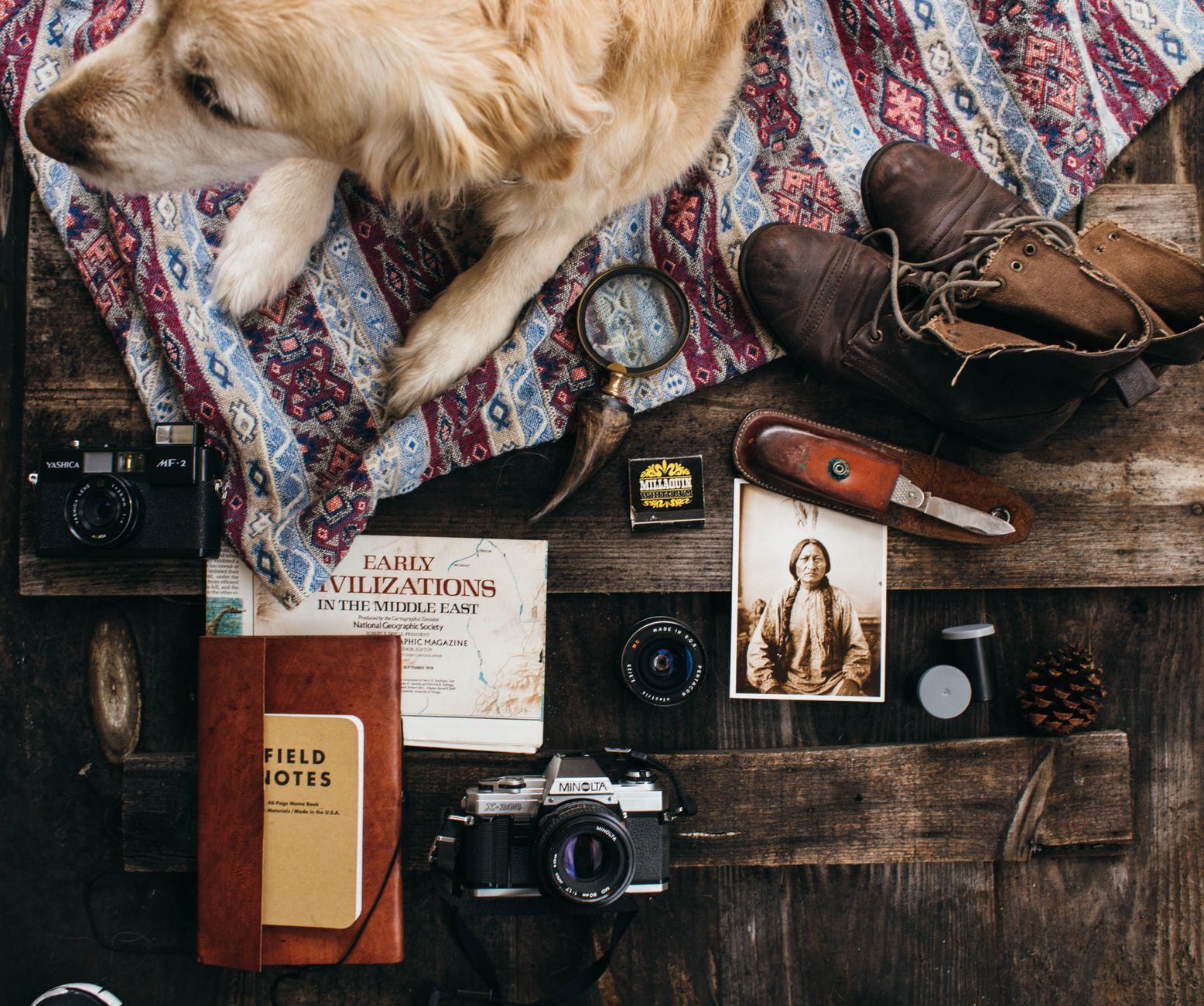 Top view of dog lying on plaid near notebook and vintage cameras with lens near old photo and old fashioned boots